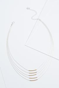 Delicate Two-Toned Necklace
