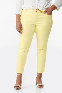 Plus Size Colored Skinny Jeans