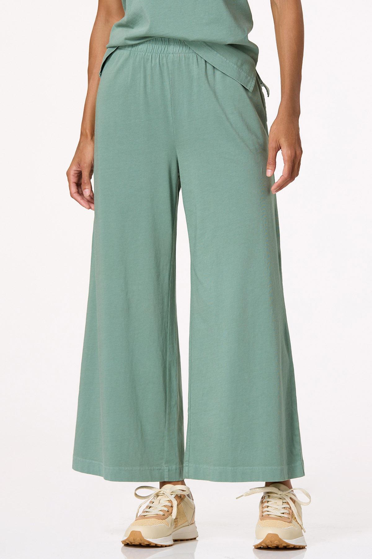  Cato Fashions | Cato Wide Leg Pull- On Pants
