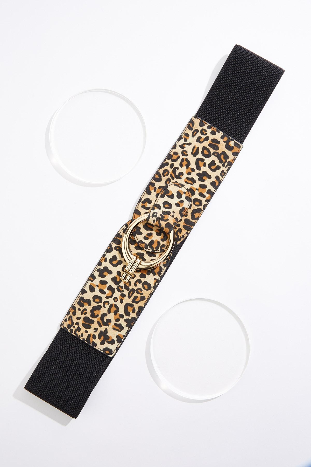 Cato Fashions | Cato Plus Size Leopard Oval Hook Stretch Belt