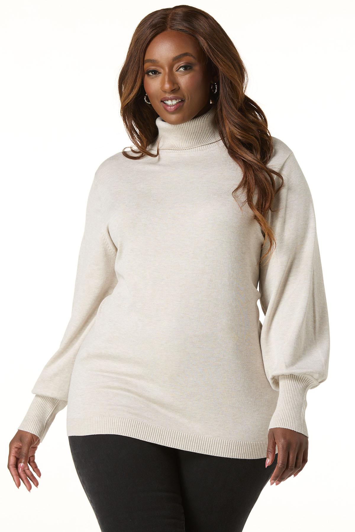 Cato Fashions | Cato Plus Size Solid Turtleneck Sweater