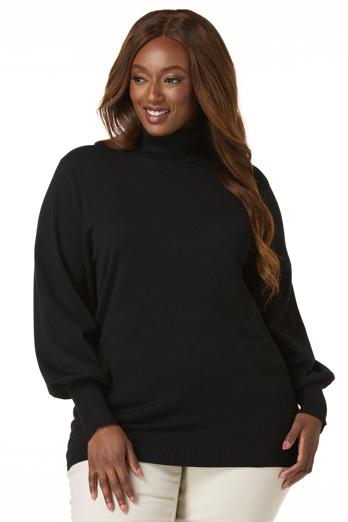Cato Fashions Cato Plus Size Solid Turtleneck Sweater