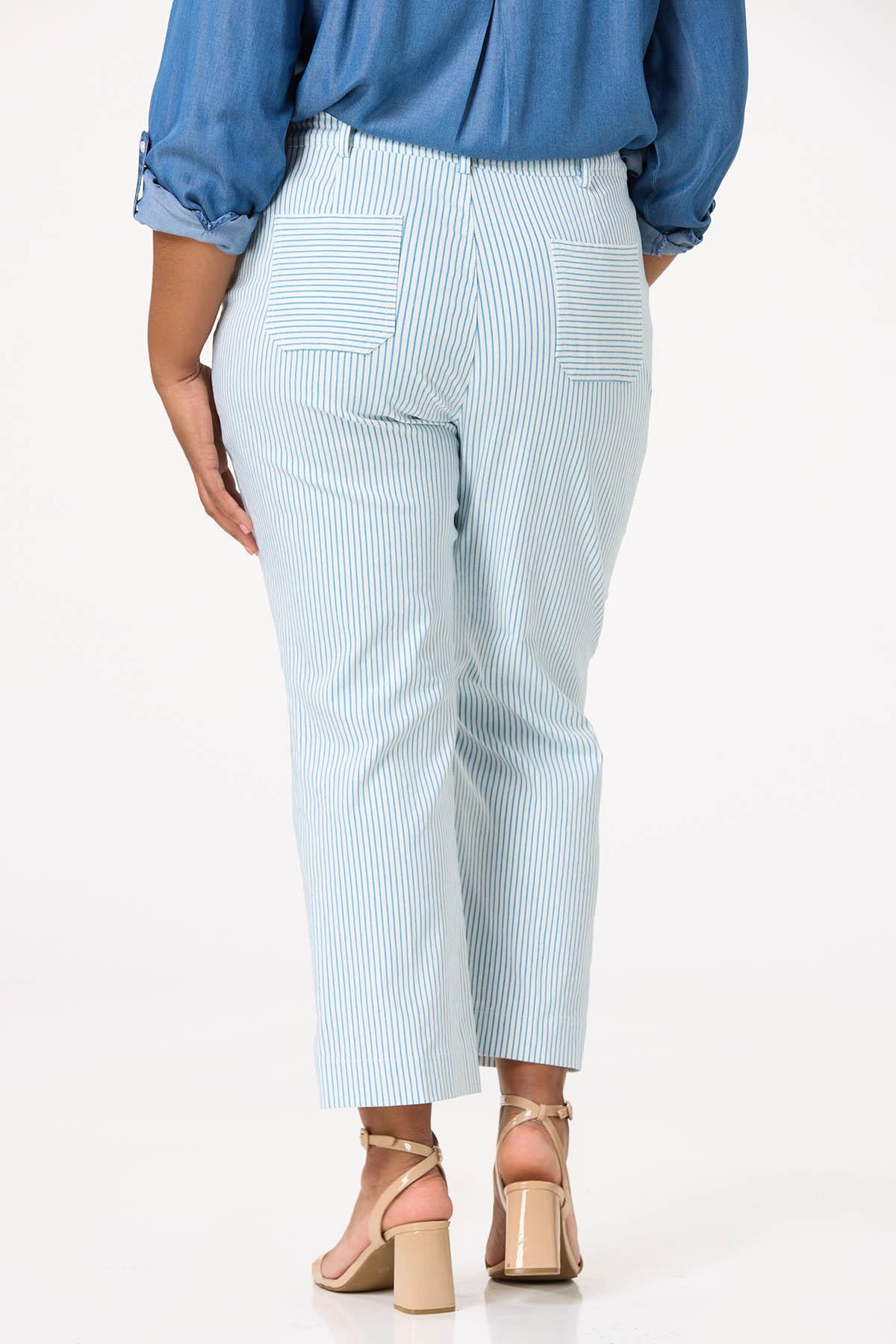  Cato Fashions | Cato Plus Size Stripe Bengaline Ankle Pants