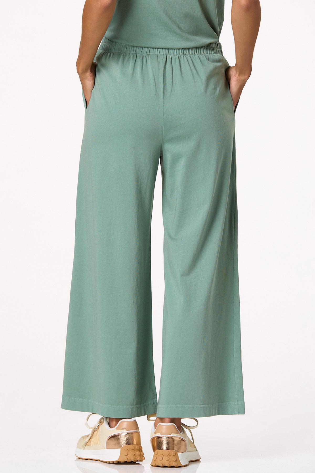  Cato Fashions | Cato Wide Leg Pull- On Pants