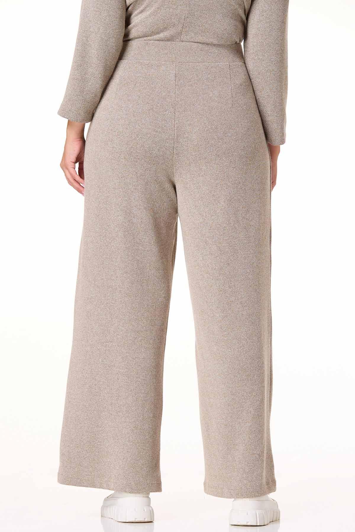 Cato Fashions | Cato Plus Size Shimmer Textured Pants