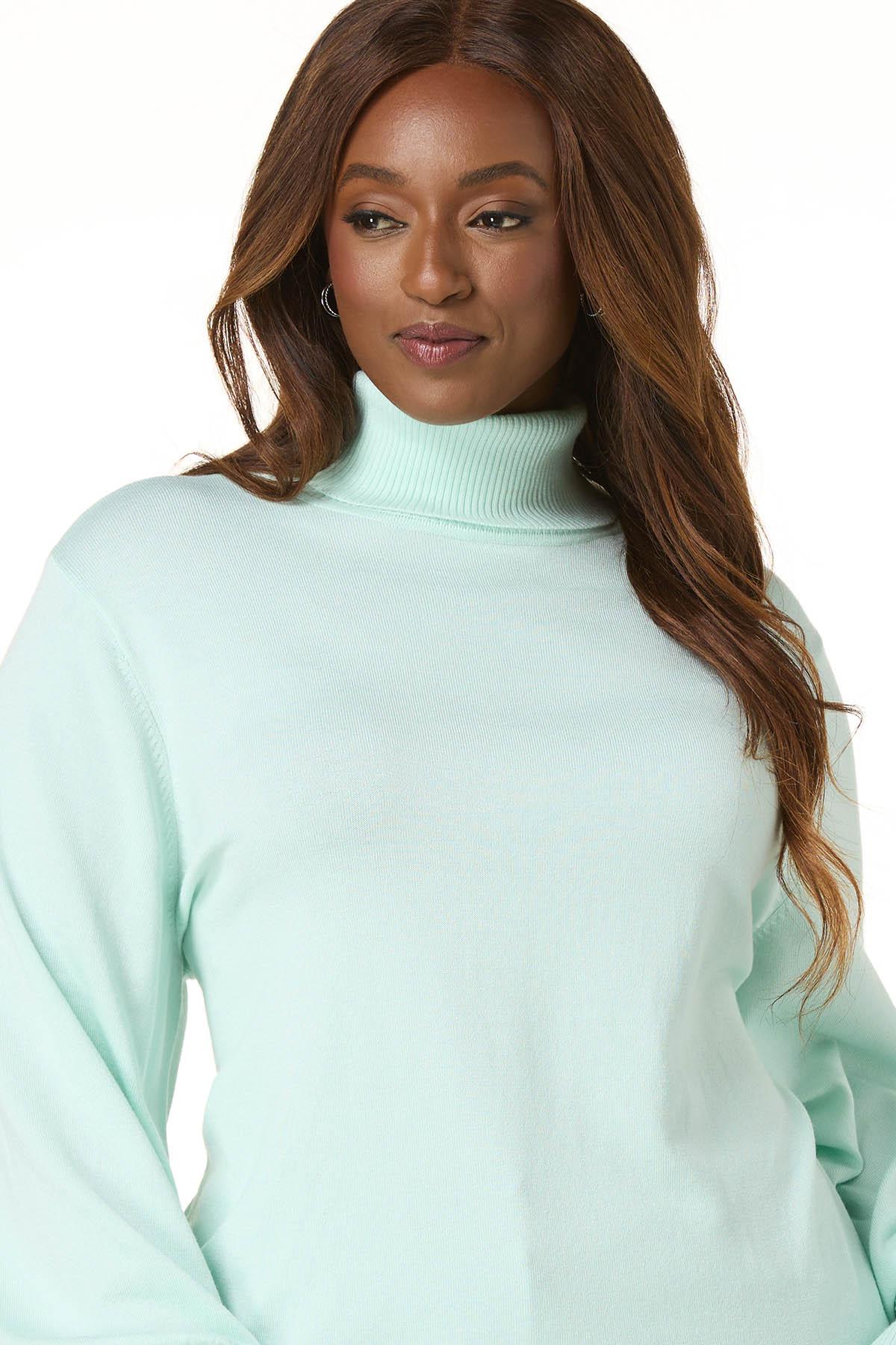 Cato Fashions | Cato Plus Size Solid Turtleneck Sweater