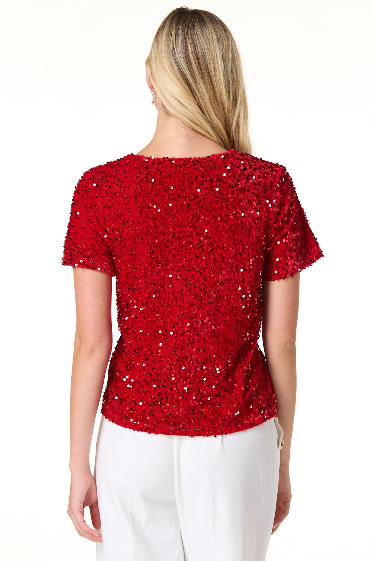 Cato Fashions | Cato Velvet Sequin Top