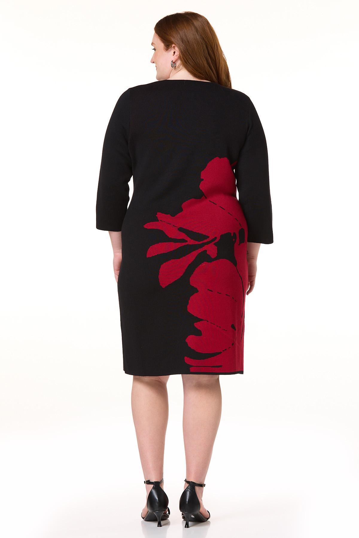 Cato Fashions | Cato Plus Size Placed Floral Sweater Dress