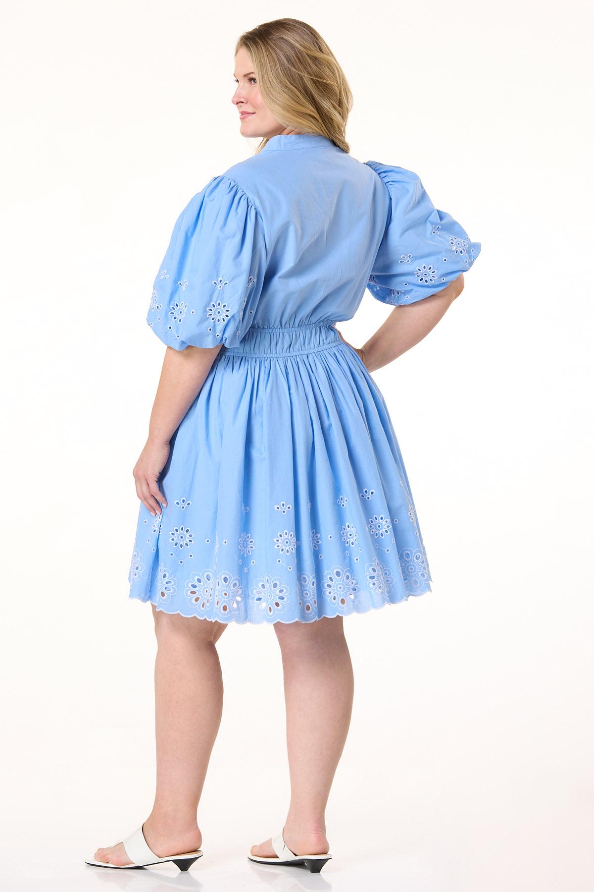 Cato Fashions | Cato Plus Size Embroidered Puff Sleeve Dress